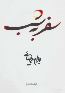 کتاب سفر به شب نشر روشنگران و مطالعات زنان