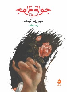 کتاب جوانی بدون جوانی نشر ماهی