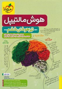 کتاب هوش مالتیپل تیزهوشان ششم دبستان خیلی سبز