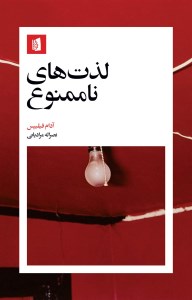 کتاب لذت های ناممنوع نشر بیدگل