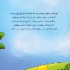 کتاب تو پسر شگفت انگیزی هستی نشر برکه