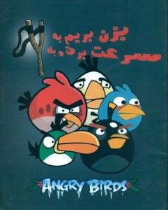 کتاب پرندگان خشمگین (2) بزن بریم به سرعت برق و باد نشر گسترش