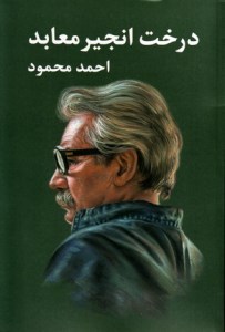 کتاب درخت انجیر معابد (2 جلدی) نشر معین