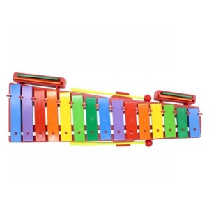 ساز بلز رها 19 کیس جعبه طلقی برند آوای باران