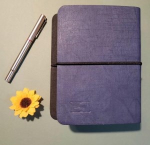 دفتر یادداشت کش دار ابرا