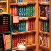 بازی سه بعدی مینیاتوری طرح کتاب فروشی شکسپیر Bookstore shakespeare کد TGB07 برند روبوتایم