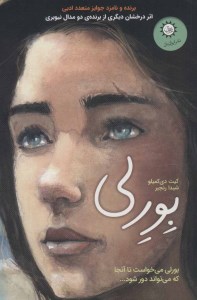 کتاب داستان تابستان (3) بورلی نشر ایران بان