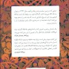 کتاب عشق در کودتا نشر پارسه