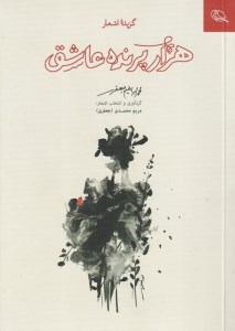 کتاب هزار پرنده عاشق نشر نظر