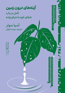 آینه های درون زمین تامل در باب شفای خود با دنیای زنده نشر دیوار